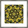 Butterfly Kaleidoscope Framed Print