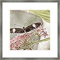 Butterfly Whisper Framed Print