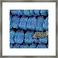 Butterfly Wing Scales Framed Print