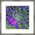 Butterfly.1 Framed Print