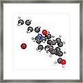 Butylscopolamine Drug Molecule Framed Print