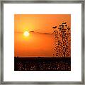 By The Everglades Framed Print