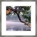 By The Water's Edge Framed Print