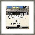 Cabbage Self Service Framed Print