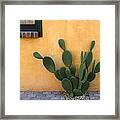 Cactus And Yellow Wall Framed Print