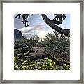 Cactus Framed Sunset Framed Print