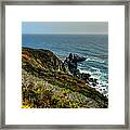 California - Big Sur 005 Framed Print