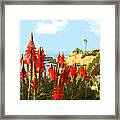 California Coastline With Red Hot Poker Plants Framed Print