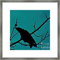 Call Of The Crow On Aqua 2 Framed Print