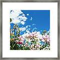 Callicoon Field 02 Framed Print