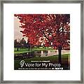 Can You Help Me Win The Best Of October Framed Print