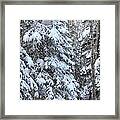 Canadian Forest - Winter Snowfall Framed Print