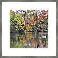 Canadian Goose Swimming Through The Autumn Reflections On The Pond Framed Print