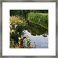 Canal Reflections Framed Print