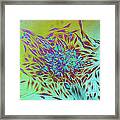 Cancer Cells Spreading Framed Print