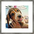 #cane #dog #cucciolo #puppies #spiaggia Framed Print