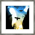 Canyon Flight Framed Print
