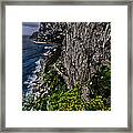 Capri Krupp Path Rocks Coast Framed Print