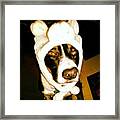 Dog In A Hat Framed Print