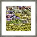 Car At Bodie With Ducks Framed Print
