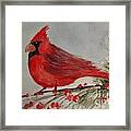 Cardinal And Berries Framed Print