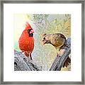 Cardinal's Point Of View Framed Print