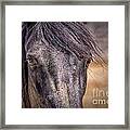 Care For Me Framed Print