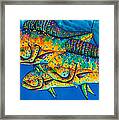 Caribbean Mahi Mahi - Dorado Fish Framed Print