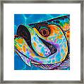 Caribbean Tarpon Fish Framed Print