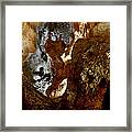 Carlsbad Caverns #1 Framed Print