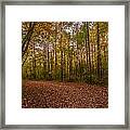 Carpeted Framed Print