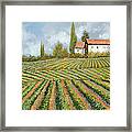 Case Bianche Nella Vigna Framed Print