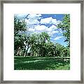 Casting Shadows Framed Print