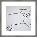Cat Drawing Framed Print