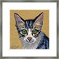 Cat Eyes Framed Print