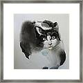 Cat In Black And White Framed Print