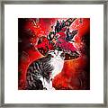 Cat In Fancy Witch Hat 1 Framed Print