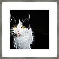 Cat Portrait Fractal Artwork Framed Print