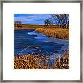 Cat Tails And Ice Framed Print