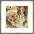 Cat Texture Portrait Framed Print
