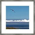 Catalina Breeze - Mike Hope Framed Print