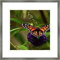 Catch Me If You Can Framed Print