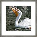 Catch Of The Day Framed Print