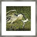 Catching Supper Framed Print
