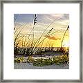 Captivating Beach Framed Print