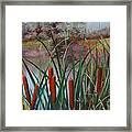 Cattail Framed Print