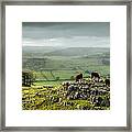 Cattle In The Yorkshire Dales Framed Print