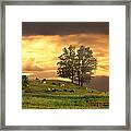 Cattle On A Hill Framed Print