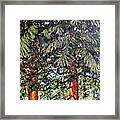 Cedars Framed Print