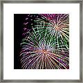 Celebrate Framed Print